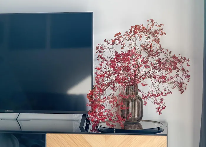 Spacious In With Desks And Parking By Renters